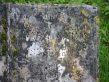 image of grave number 856407